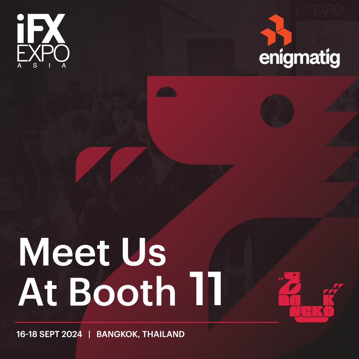 Enigmatig荣耀再临IFX EXPO：五载同行，共绘金融璀璨未来